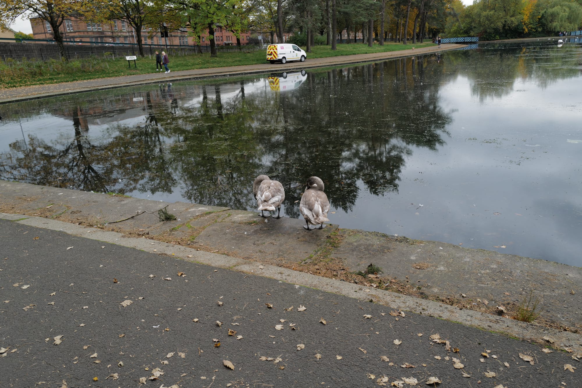 Playing with GoldenSAML