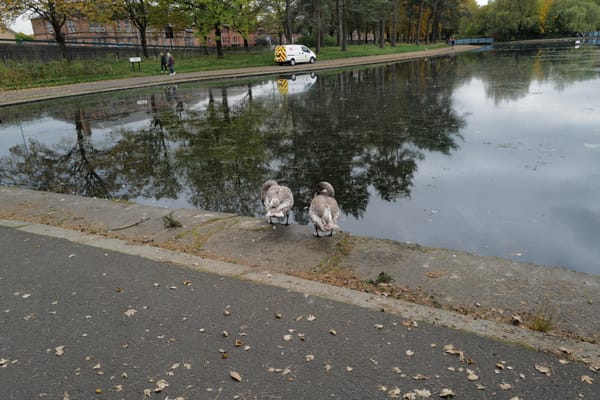 Playing with GoldenSAML